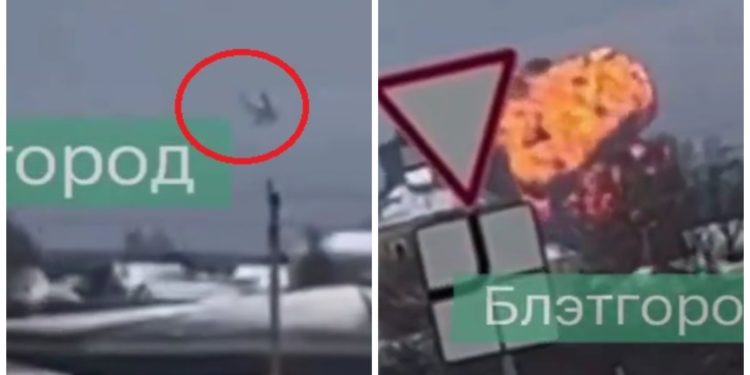 Μπέλγκοροντ