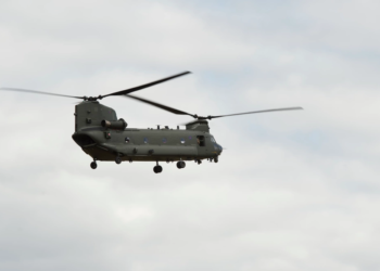 Chinook