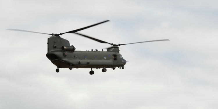 Chinook