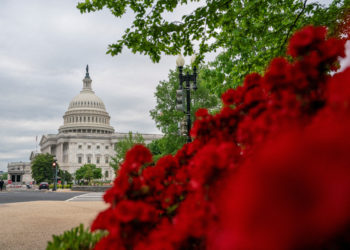 αμερικανικές εκλογές