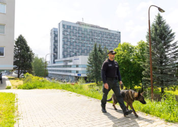 Ρόμπερτ Φίτσο