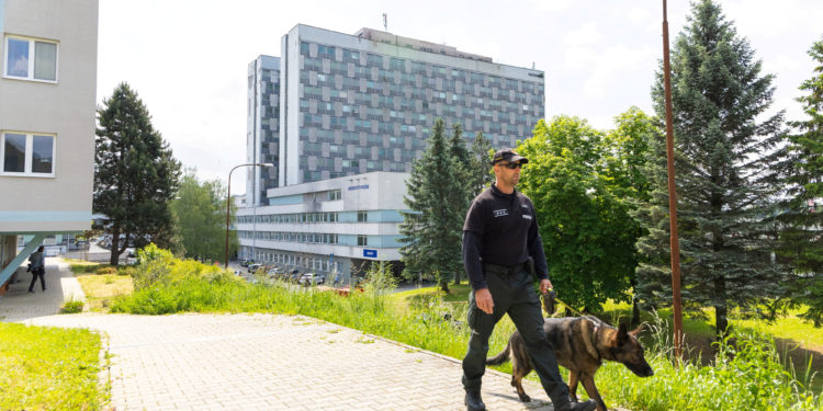 Ρόμπερτ Φίτσο