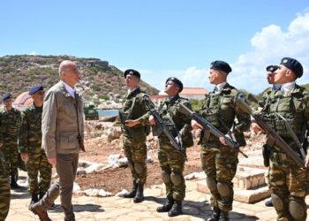 Τσελίκ - Δένδιας