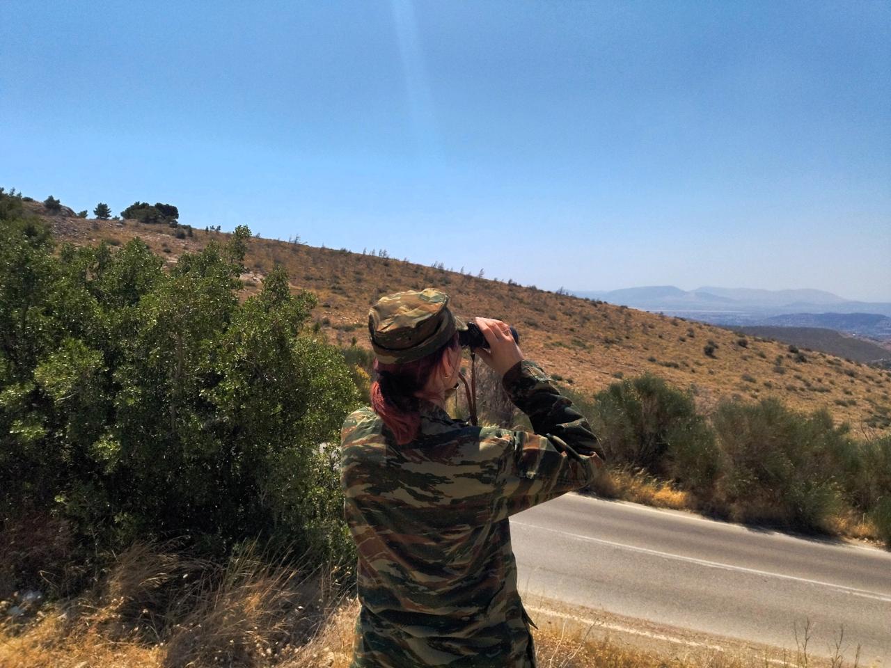 Ένοπλες Δυνάμεις - πυρκαγιές