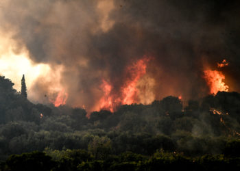 «Μάχη» με τις φωτιές σε Ηλεία, Αχαΐα, Μεγαλόπολη και Κρανίδι – Συνεχής ενίσχυση των πυροσβεστικών δυνάμεων
