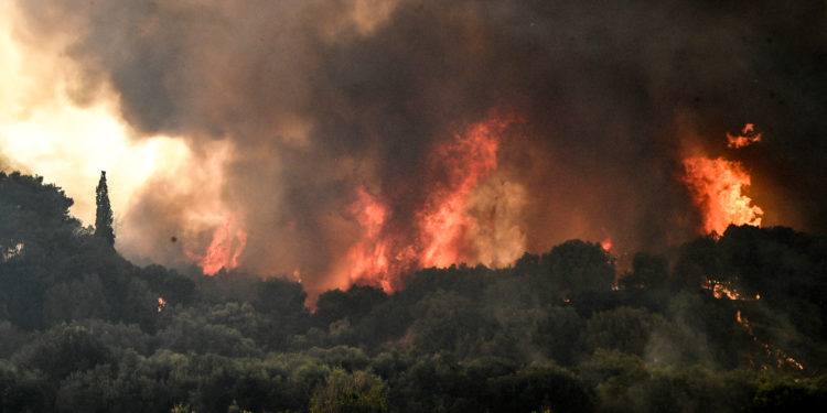 «Μάχη» με τις φωτιές σε Ηλεία, Αχαΐα, Μεγαλόπολη και Κρανίδι – Συνεχής ενίσχυση των πυροσβεστικών δυνάμεων