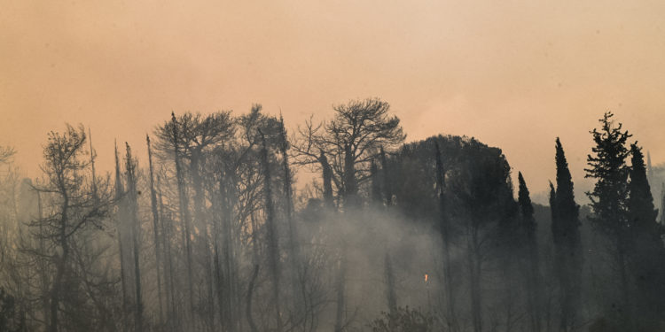 πυρκαγιά - Ηλεία