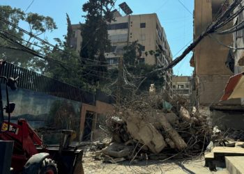 Φουάντ Σουκρ