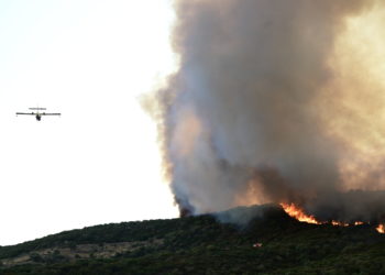 Εύβοια - Πυρκαγιά