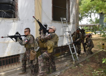 συνεκπαίδευση