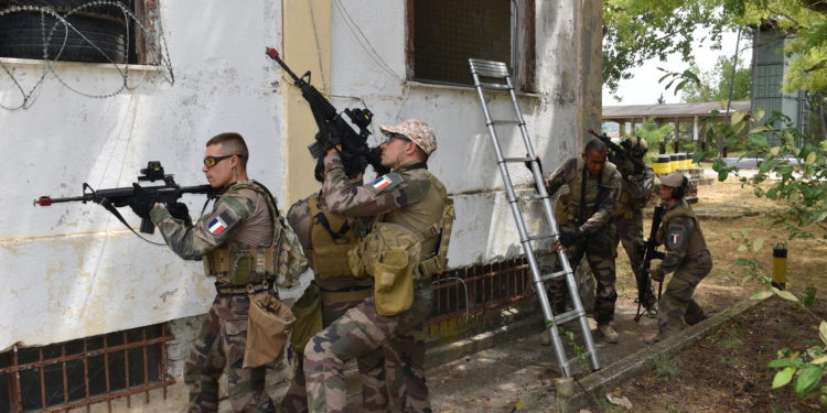 συνεκπαίδευση