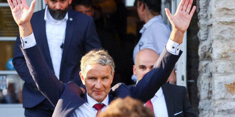 Γερμανία - εκλογές - AfD