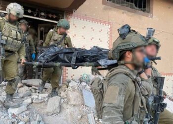 IDF - Σινουάρ