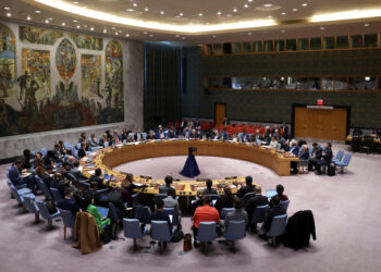 Εσθονία - ΟΗΕ