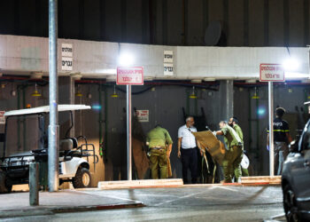 Ισραήλ: Τέσσερις νεκροί στρατιώτες από την επίθεση με drone της Χεζμπολάχ εναντίον στρατιωτικής βάσης στην Μπινγιαμίνα