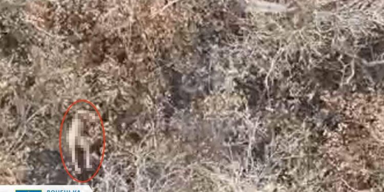 Ρωσία - εκτέλεση αιχμαλώτων πολέμου