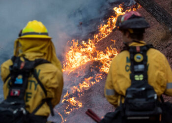 Λος Άντζελες