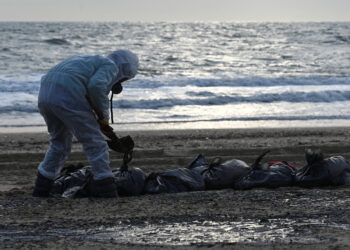 Μαύρη Θάλασσα: Η πετρελαιοκηλίδα από τα δύο ρωσικά τάνκερ διευρύνεται [vids]