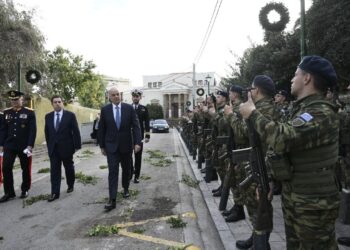 Δένδιας - Χίος