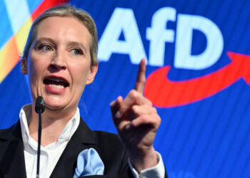 Γερμανία - AfD