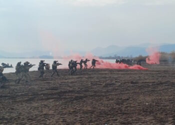 «STEADFAST DART 25»