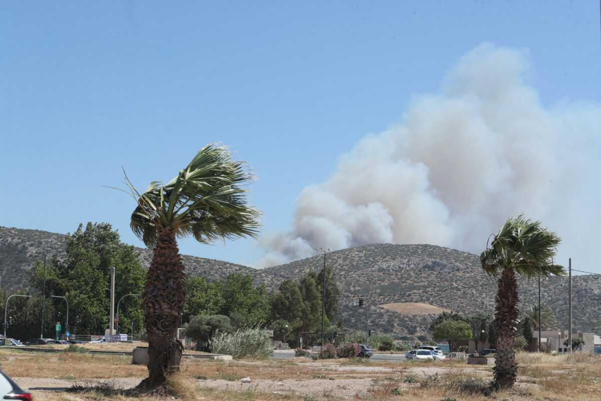 Παλαιά Φώκαια