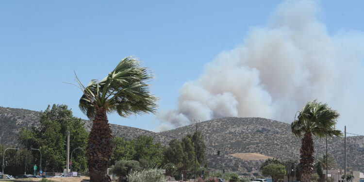 Παλαιά Φώκαια