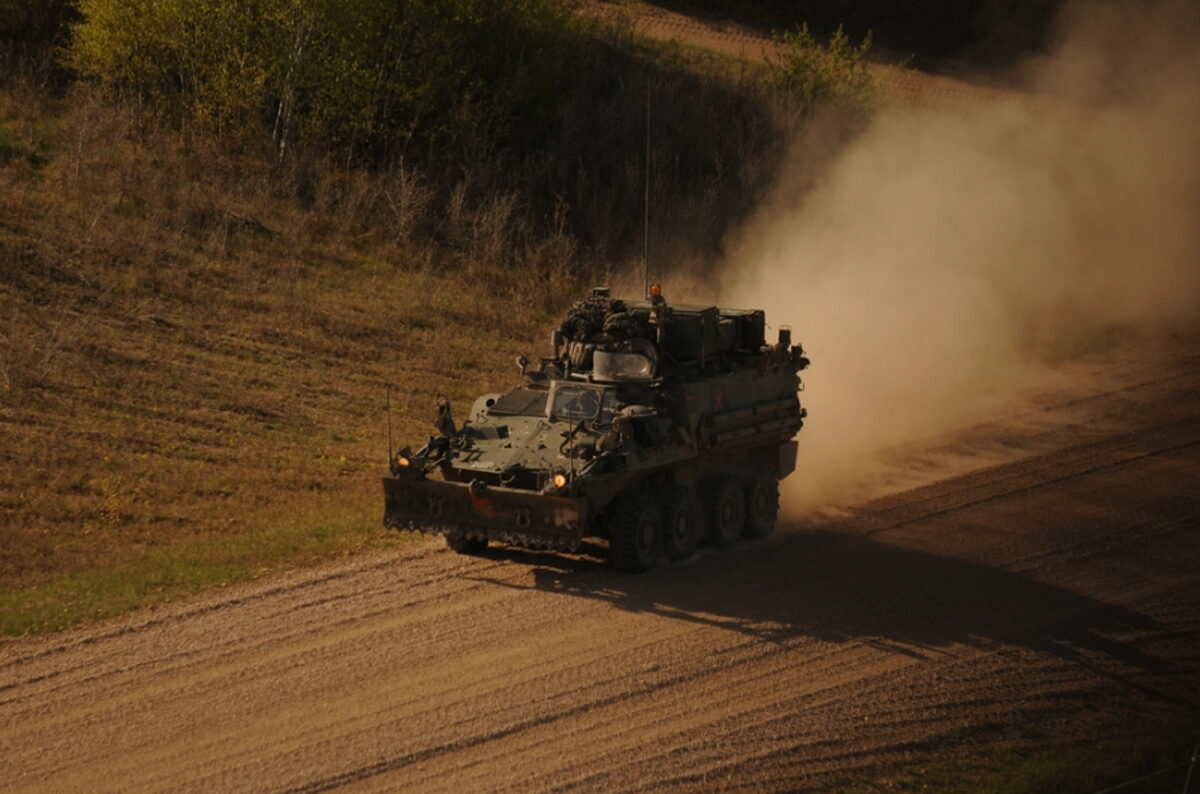 Καναδάς - Bison