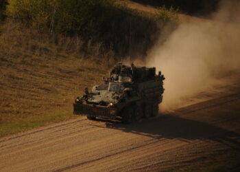 Καναδάς - Bison