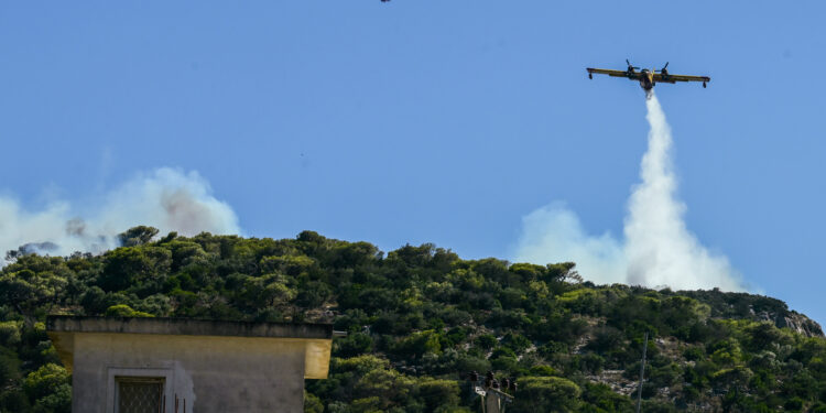 Φωτιά στη Λάρισα