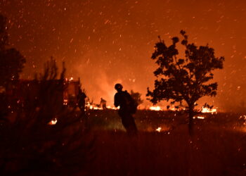 Πυρκαγιά στον Ωρωπό