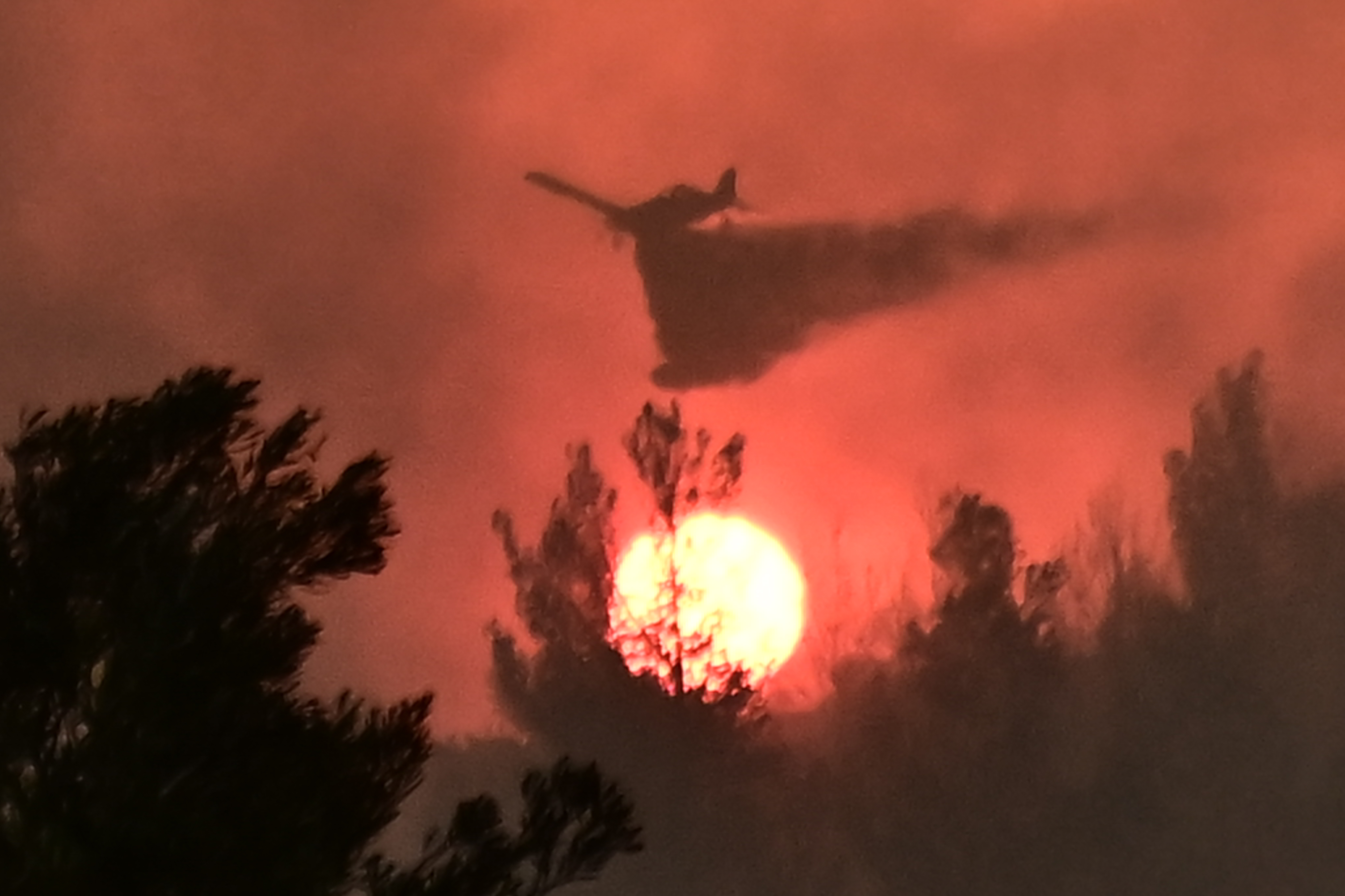Πυρκαγιά στον Ωρωπό
