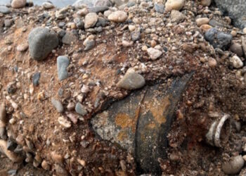 Βόμβα - Δρέσδη