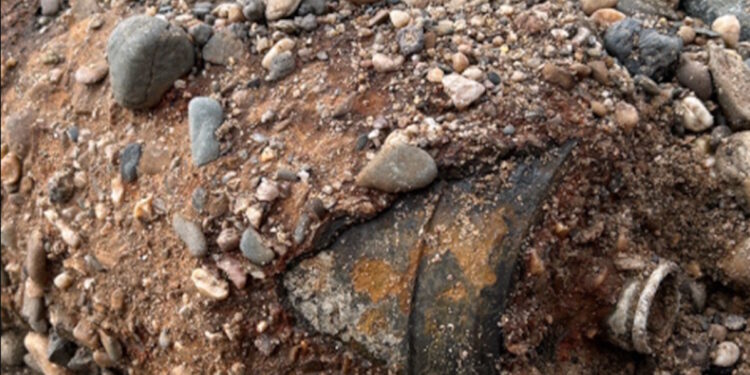 Βόμβα - Δρέσδη