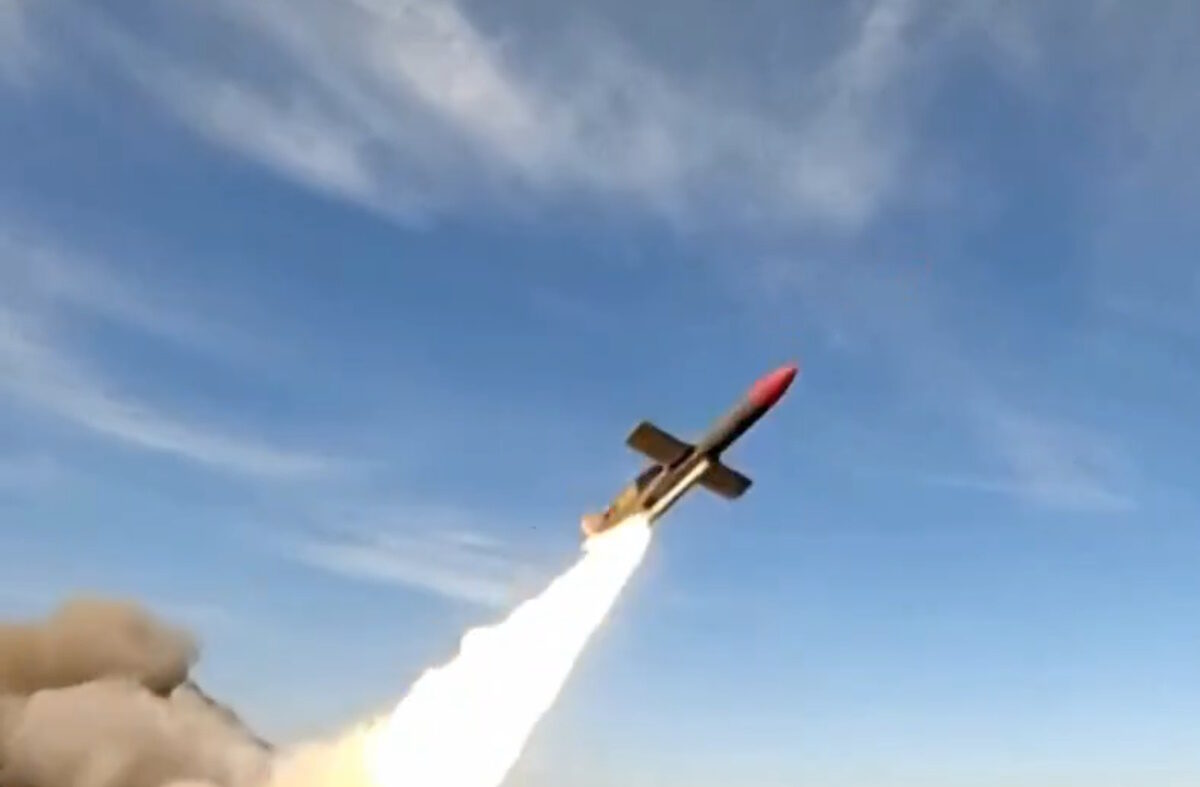 Flamingo - Ζελένσκι