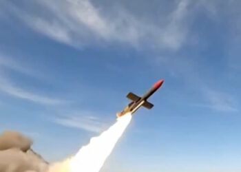 Flamingo - Ζελένσκι