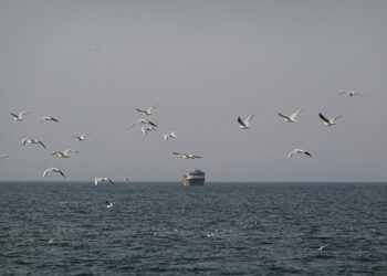 Στενά του Ορμούζ