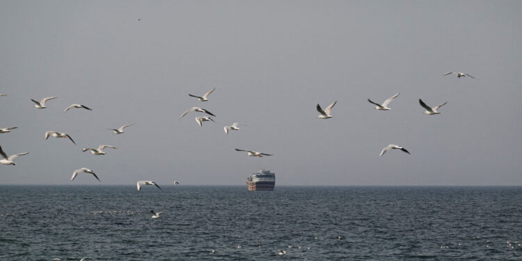 Στενά του Ορμούζ