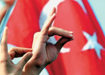 Γκρίζοι Λύκοι