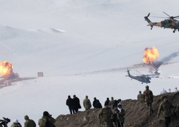 Φοίνικας της Ανατολίας