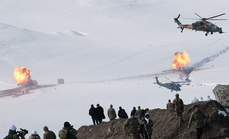 Φοίνικας της Ανατολίας
