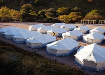 ΜΚΟ - Έρευνες