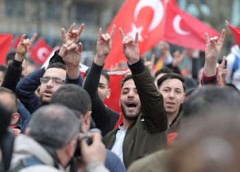 Γκρίζοι Λύκοι