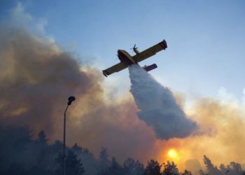 Ελαφόνησος